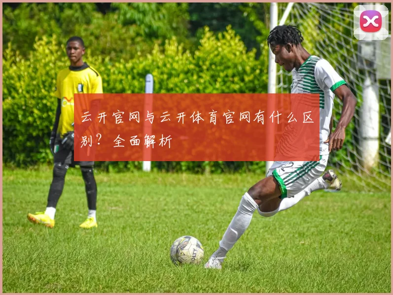 云开官网与云开体育官网有什么区别？全面解析